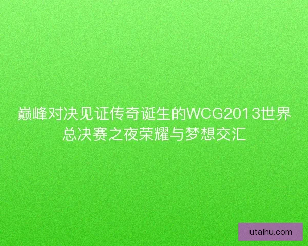 巅峰对决见证传奇诞生的WCG2013世界总决赛之夜荣耀与梦想交汇
